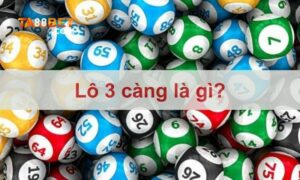 lô 3 càng là gì